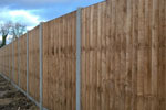 Garden Fencing