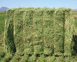 Baler Twine