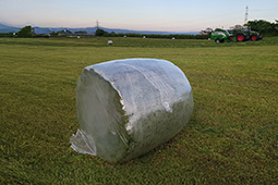 Net Replacement Film