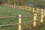 Post and Rail Fencing