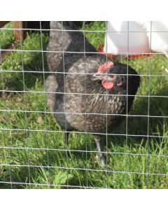 Light Aviary Welded Mesh 