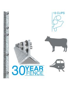 Clipex&reg; Railway/Cattle Beefy Post 2.1m