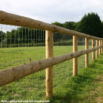 Half Round Fully Peeled Post and Rail 