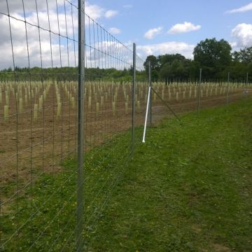 Triple X 1000m Deer Fence Kit