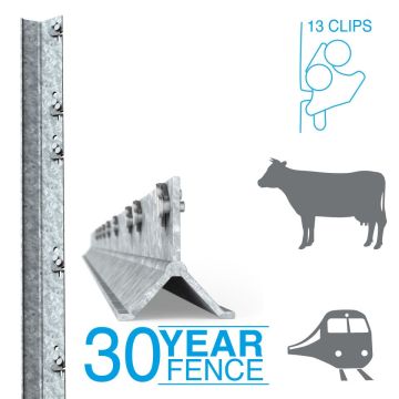 Clipex® Railway/Cattle Standard Post 2.0m