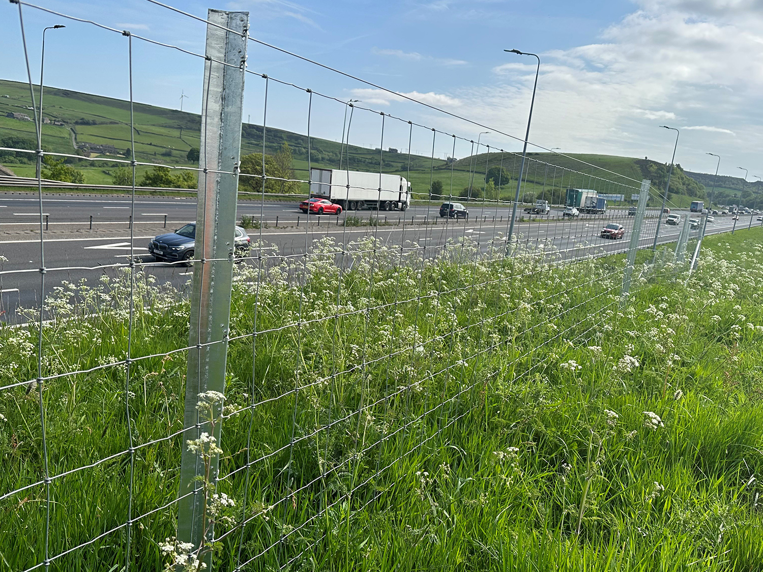 Commercial Fencing Case Study