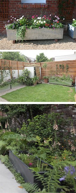 water trough planter collage