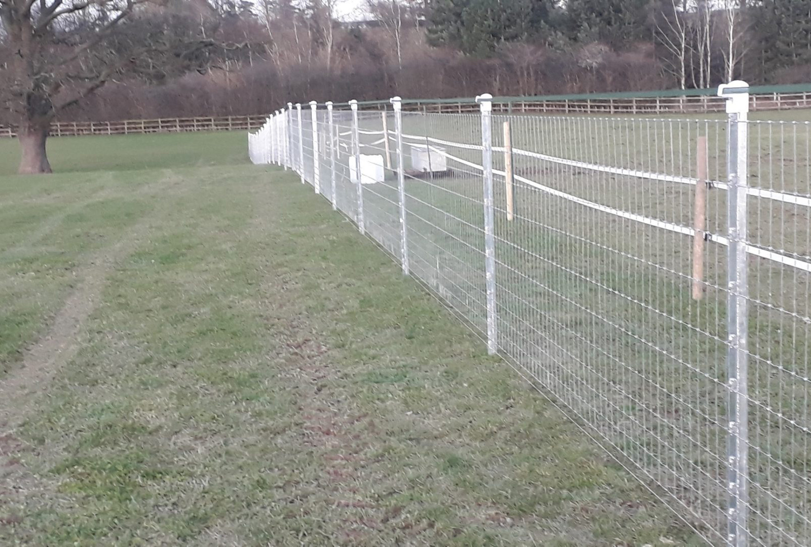 Horse Fencing Case Study