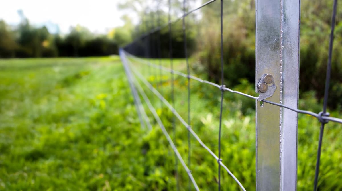 Clipex post and rail fencing installed in green paddock