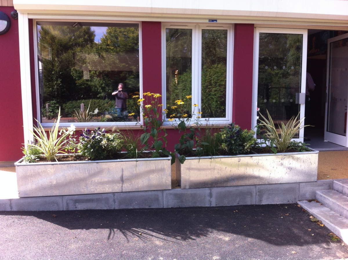 How To Create A Steel Trough Planter