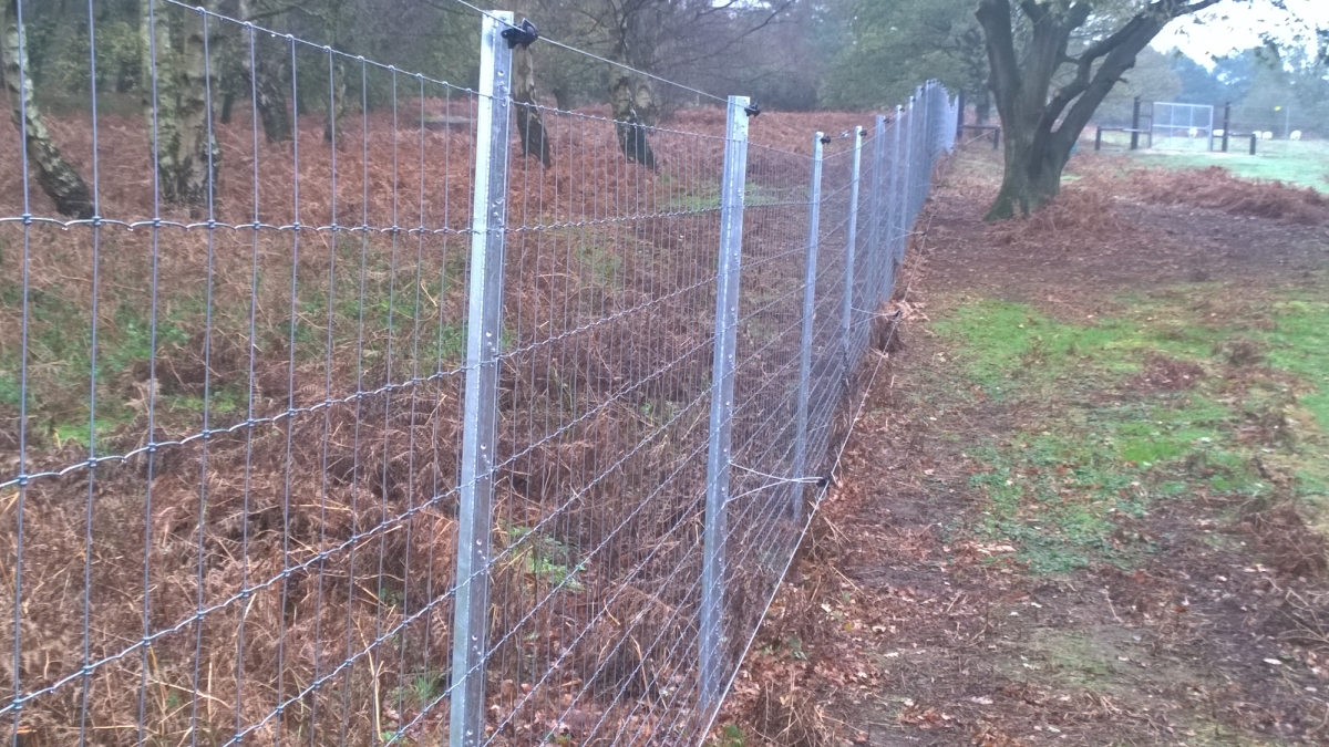 Choosing The Right Stock Fence