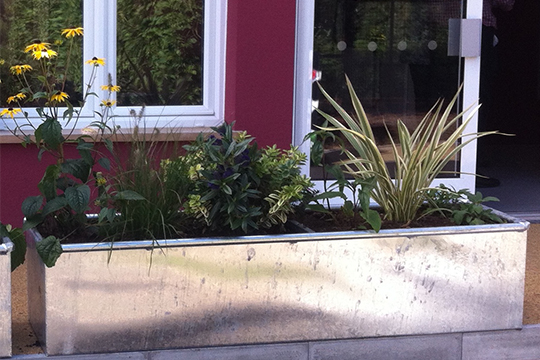 5 Reasons Why A Steel Trough Makes The Perfect Garden Planter