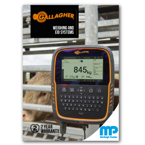 Gallagher Weighing and EID