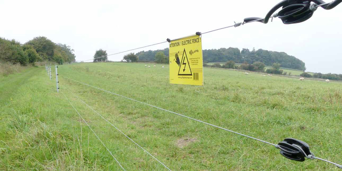 Intensive Farming &#8211; Realising Pasture Potential