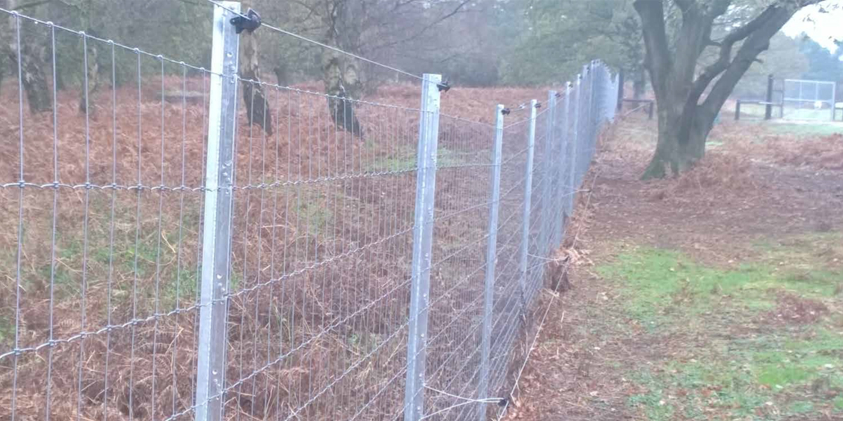 Deer Netting &#8211; Triple X Fencing