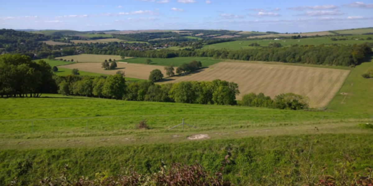 National Trust &#8211; Cissbury Ring