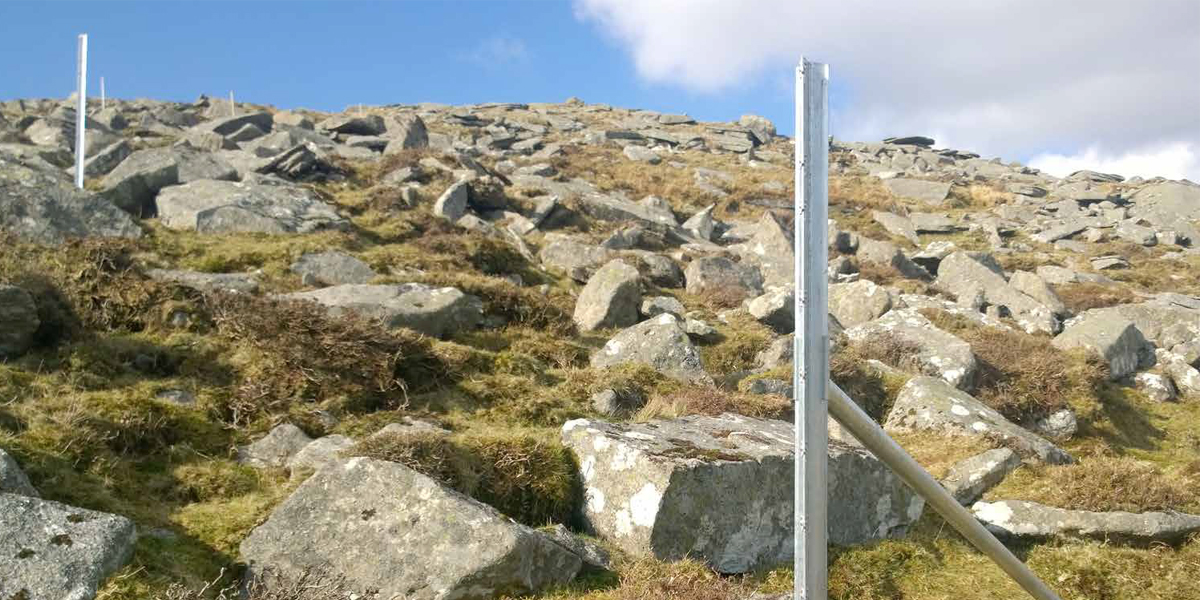 Clipex and RSPB &#8211; Protecting the Ring Ouzel on Dartmoor Tor