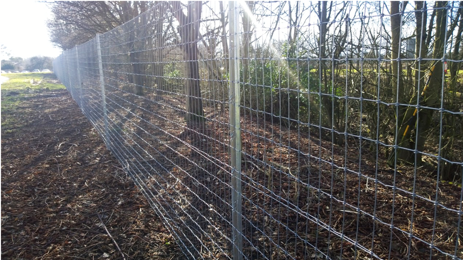 Security Fence &#8211; Triple X Fencing
