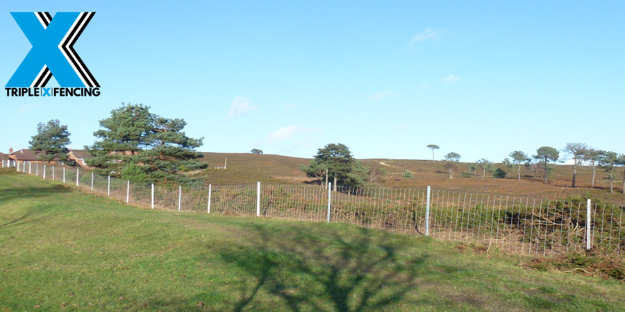 Cattle Fence &#8211; Triple X fencing