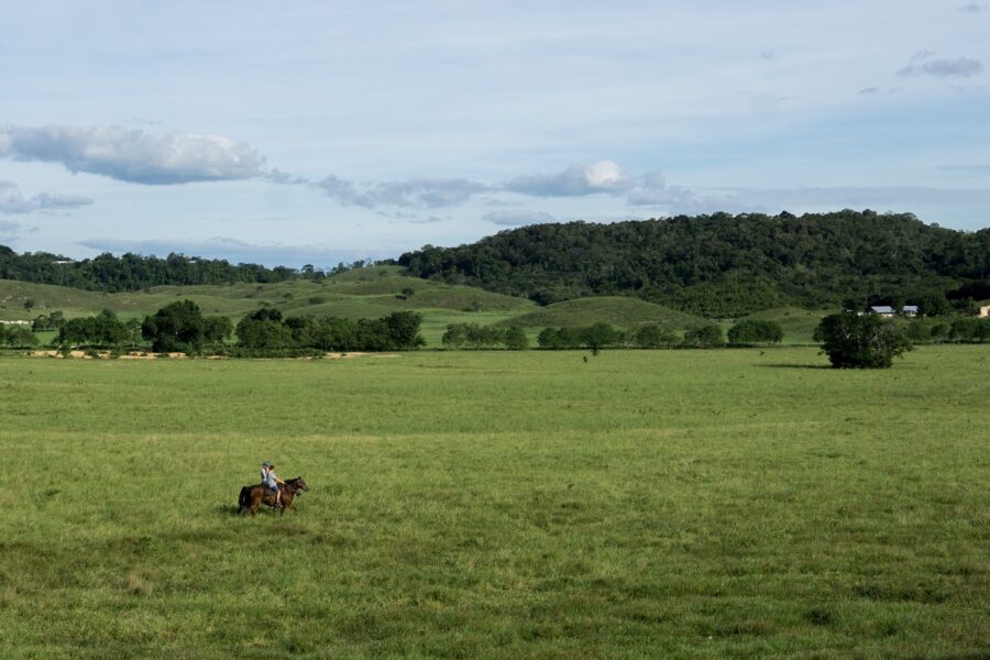Riding a horse in an open space