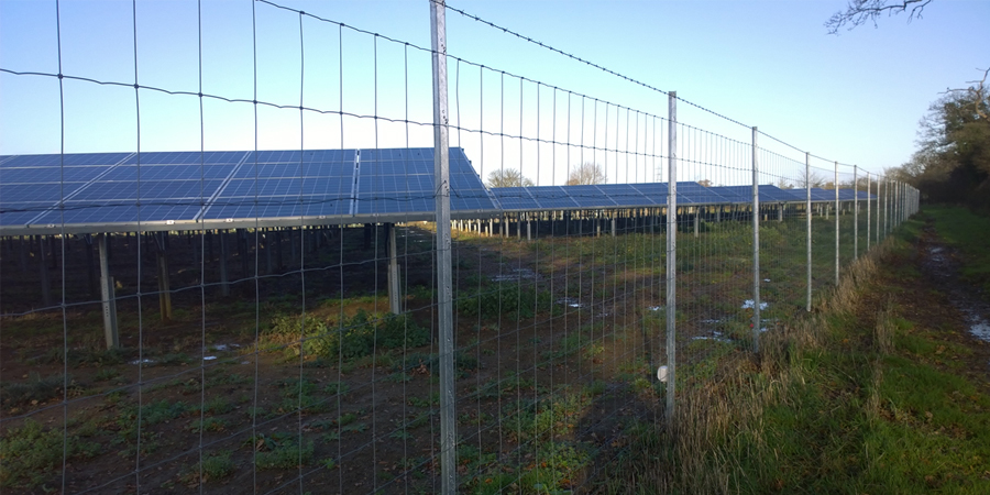 Deer Fence &#8211; Triple X Fencing