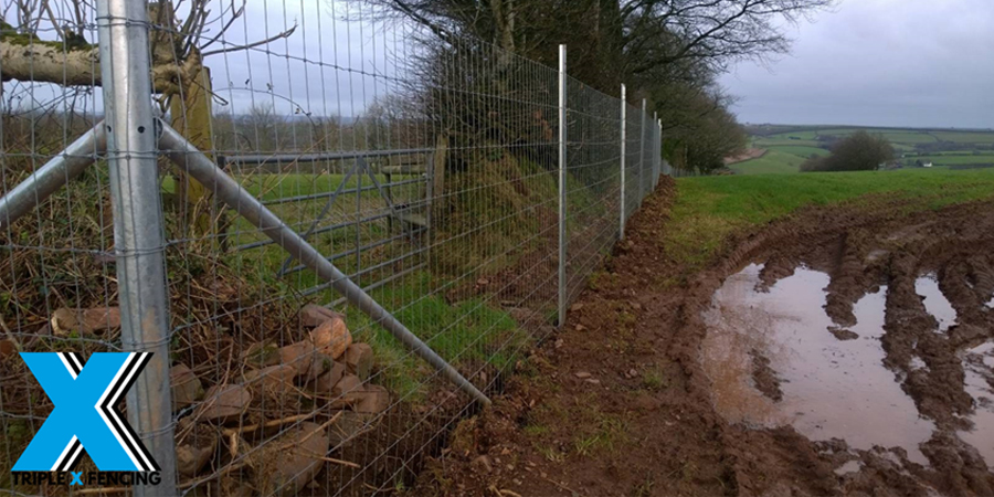 Dog / Boar Fence &#8211; Triple X Fencing