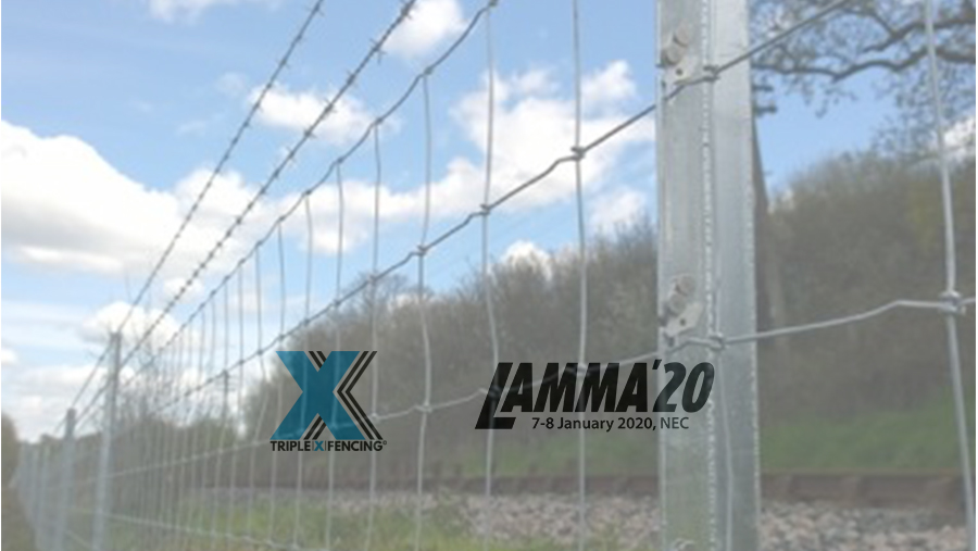 McVeigh Parker Showcasing Triple X at Lamma 2020