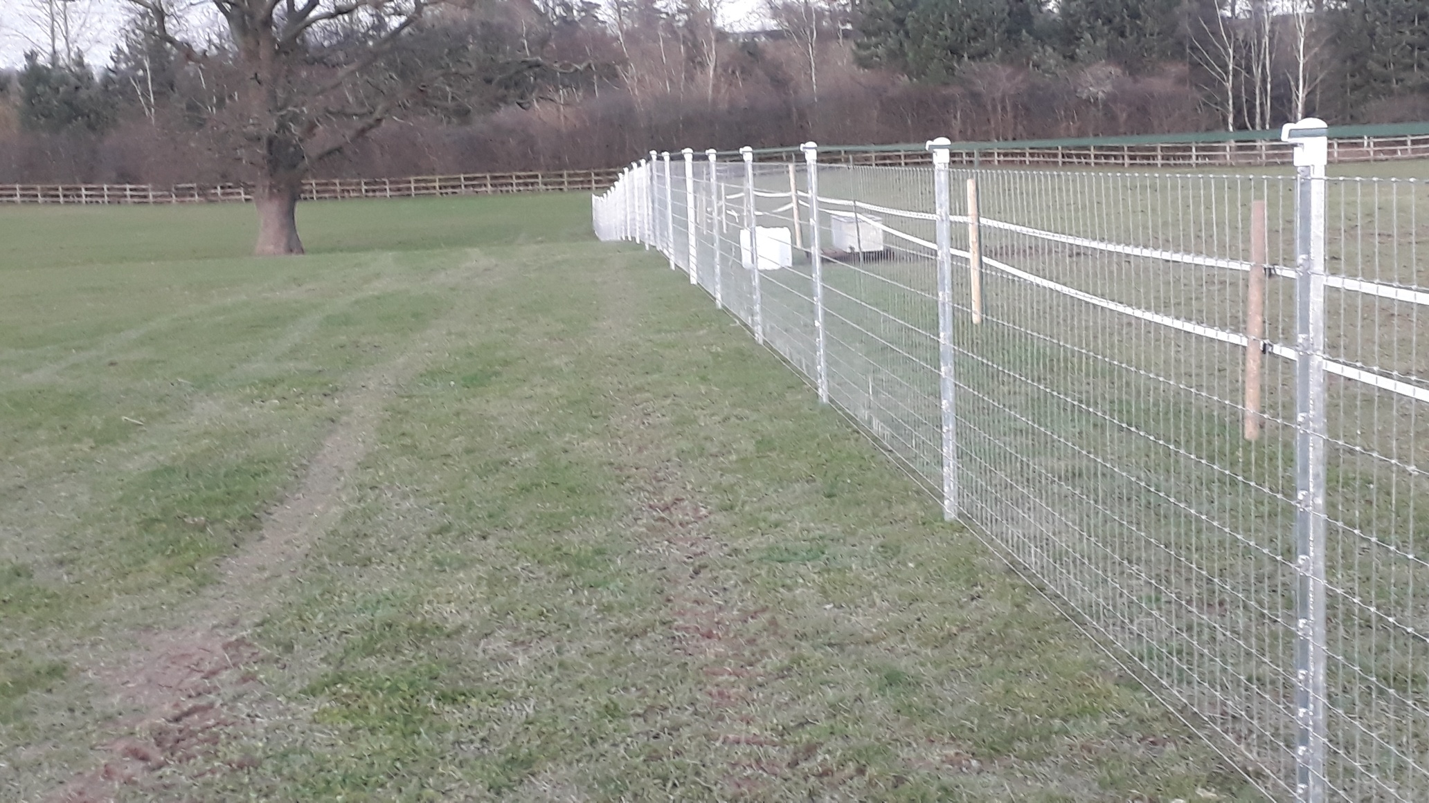 Horse Fencing