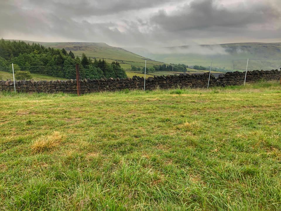 Clipex Dog Fencing