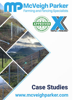 Triple X Case Studies