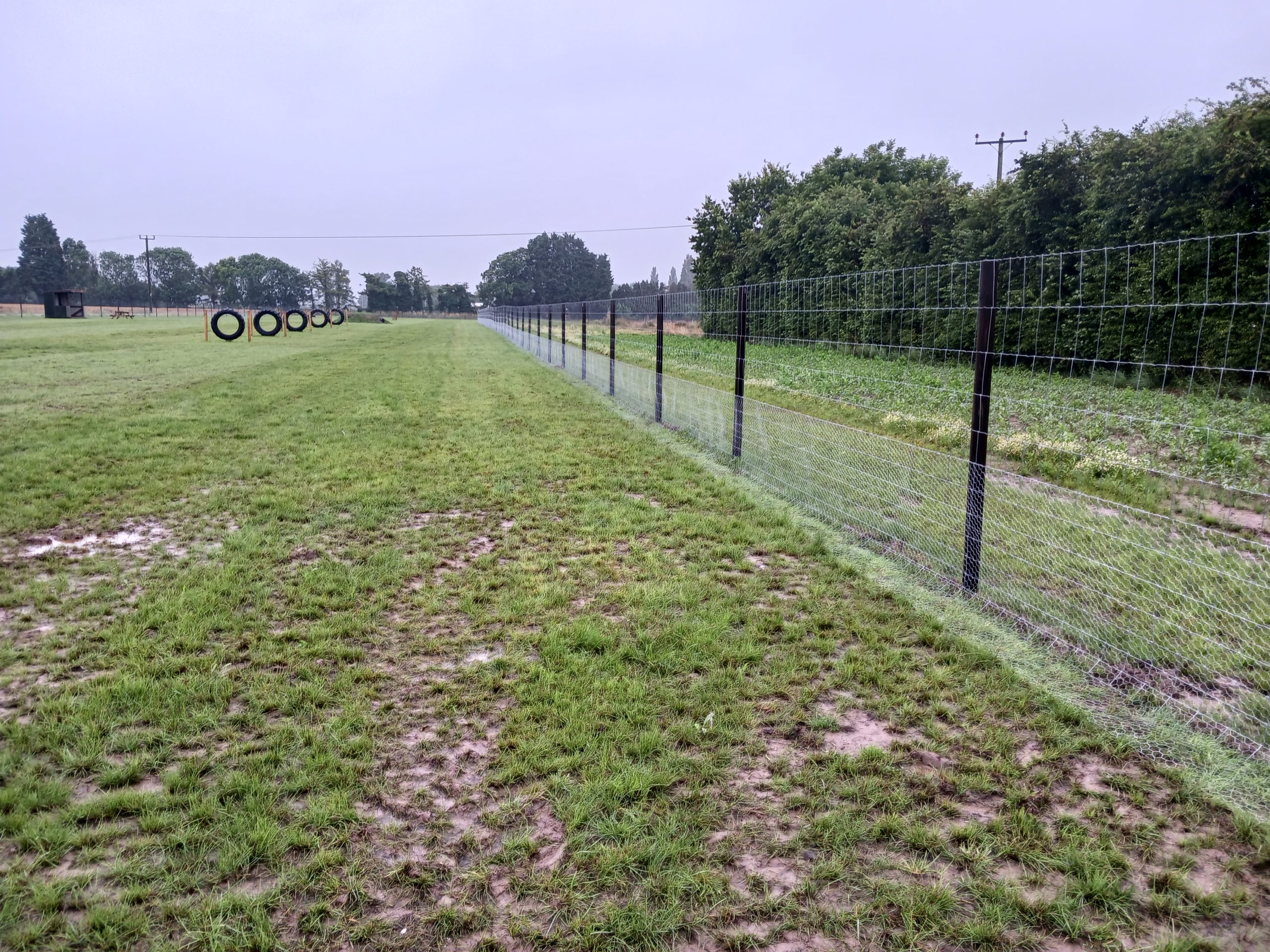 Dog Fencing