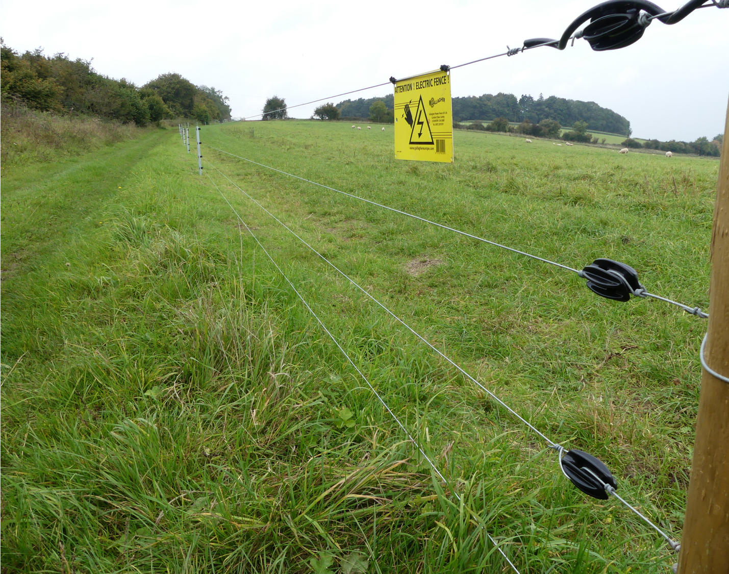 Semi-Permanent Electric Fence Design